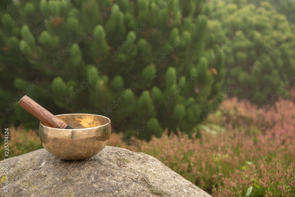 The Tibetan singing bowl stands on top of a stone against the background of the beautiful nature of blurred flowering heather and beautiful young pine. Singing bowl in nature.