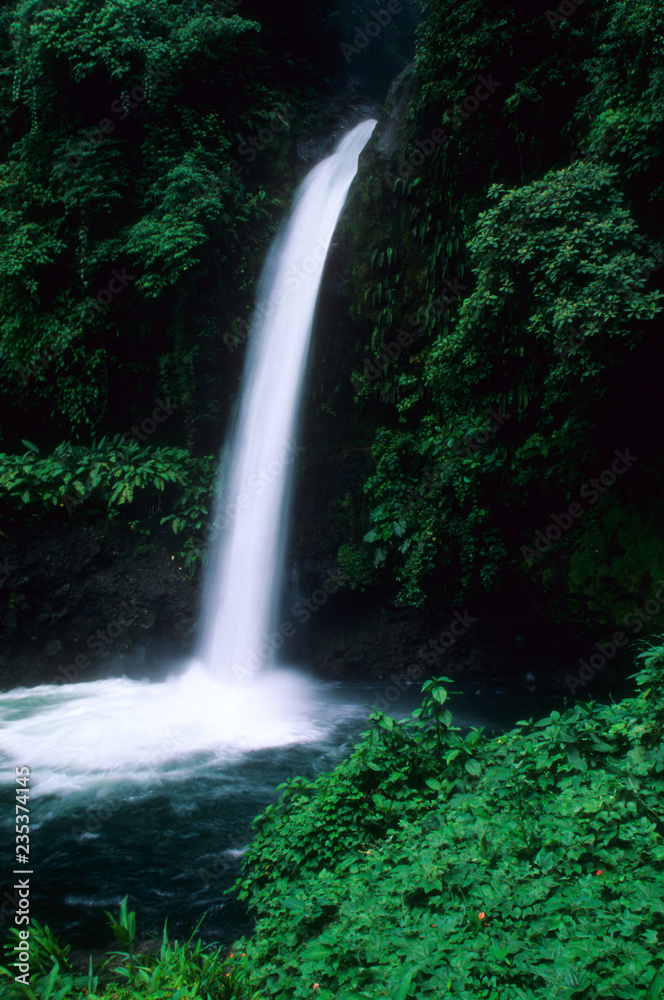 La Fortuna Waterfall in the rainforest of Costa Rica La Fortuna Waterfall in the rainforest of Costa Rica