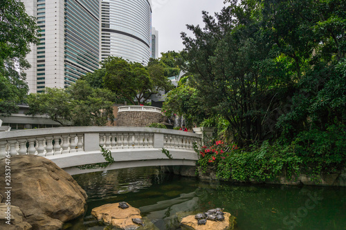 Idyllic landscape at Hong Kong Park with a picturesque bridge and a small river with turtles on the rocks © Francesco Bonino
