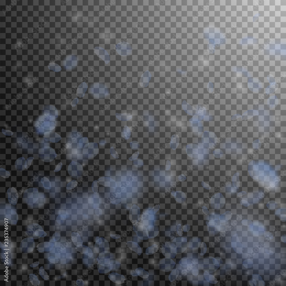 Light blue flower petals falling down. Elegant rom Light blue flower petals falling down. Elegant rom