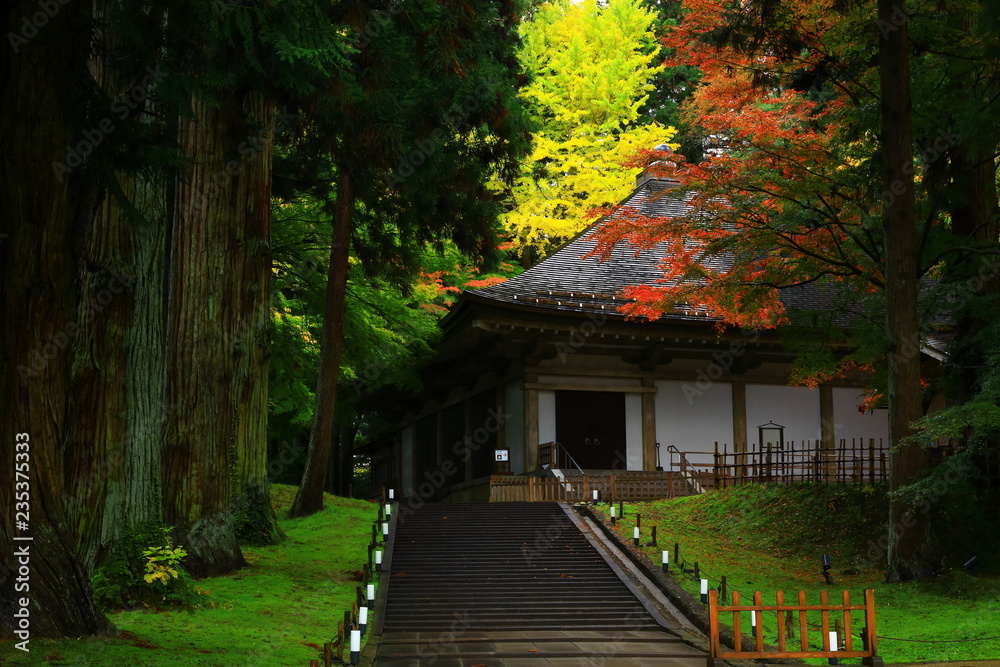世界遺産 紅葉の中尊寺 世界遺産 紅葉の中尊寺