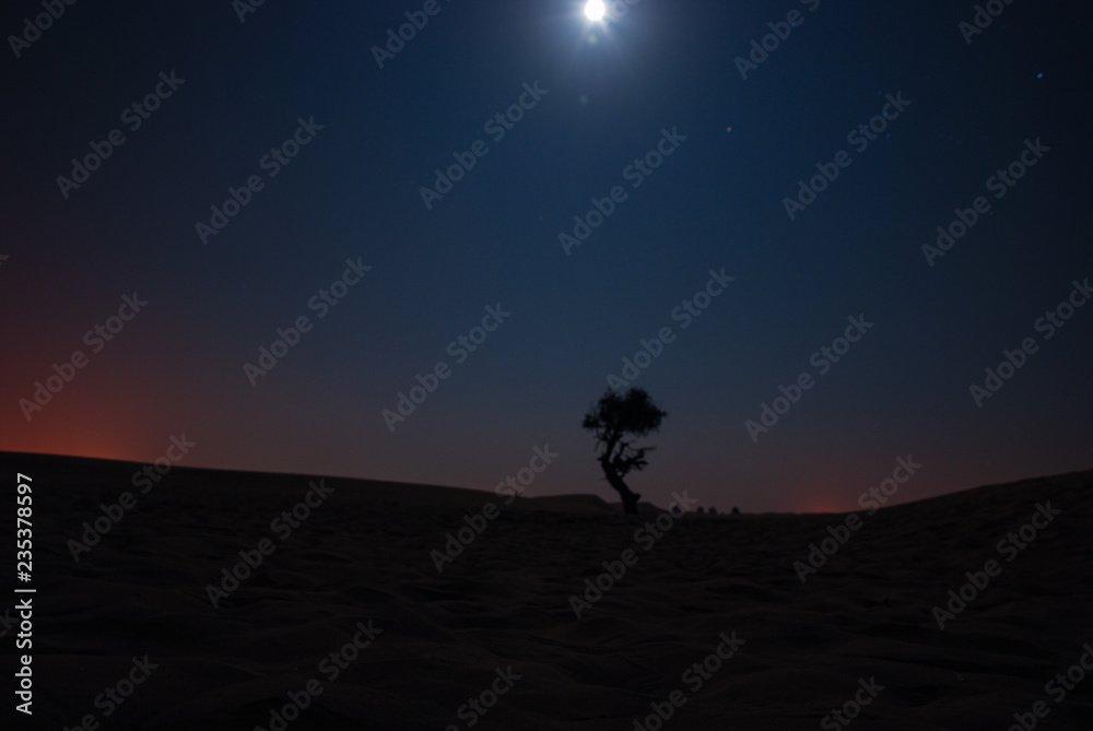 The lonely desert of Dubai