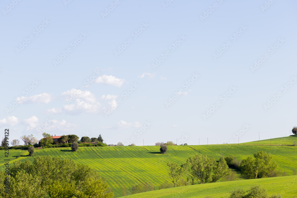 Green hills swaying with soft Umbre lines Green hills swaying with soft Umbre lines