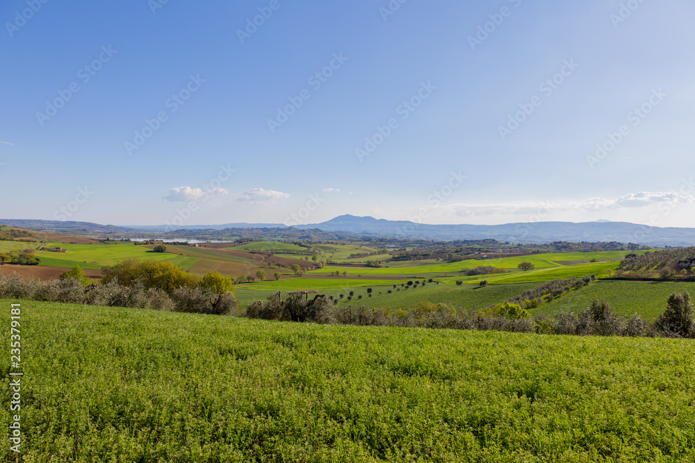 Green hills swaying with soft Umbre lines