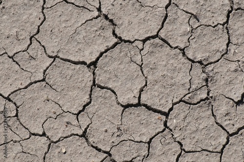 close up of crack mud