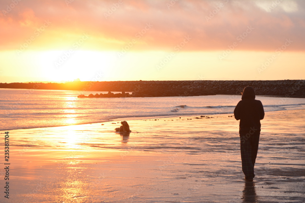 Girl and dog on beach at sunrise