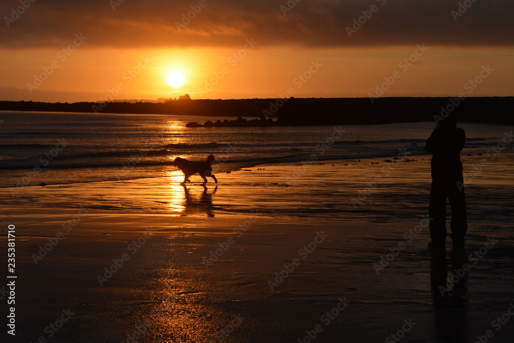 Dog on beach at sunrise