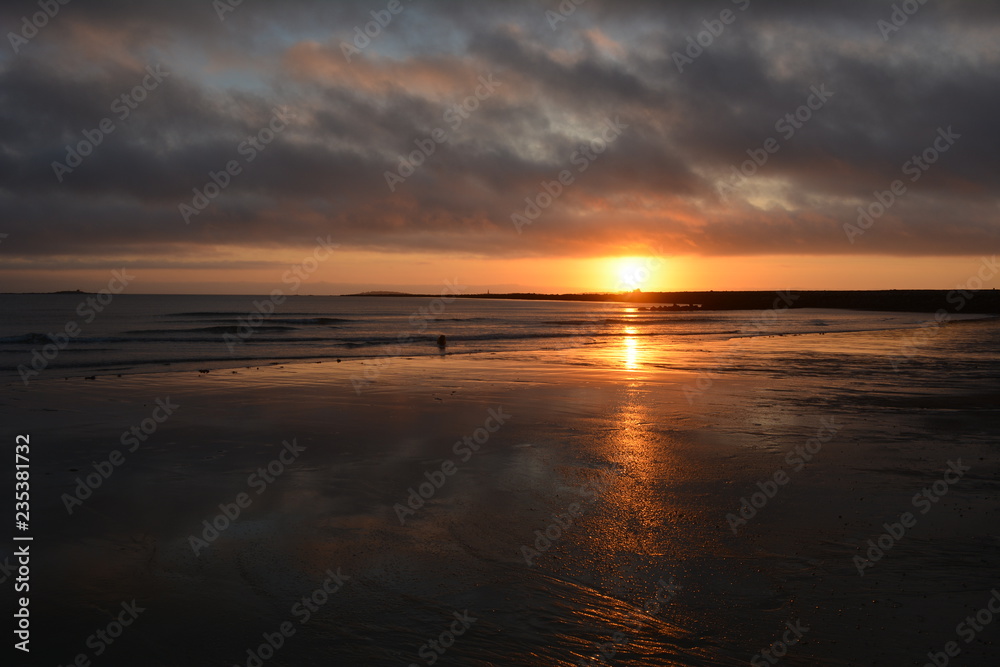 Dog on beach at sunrise