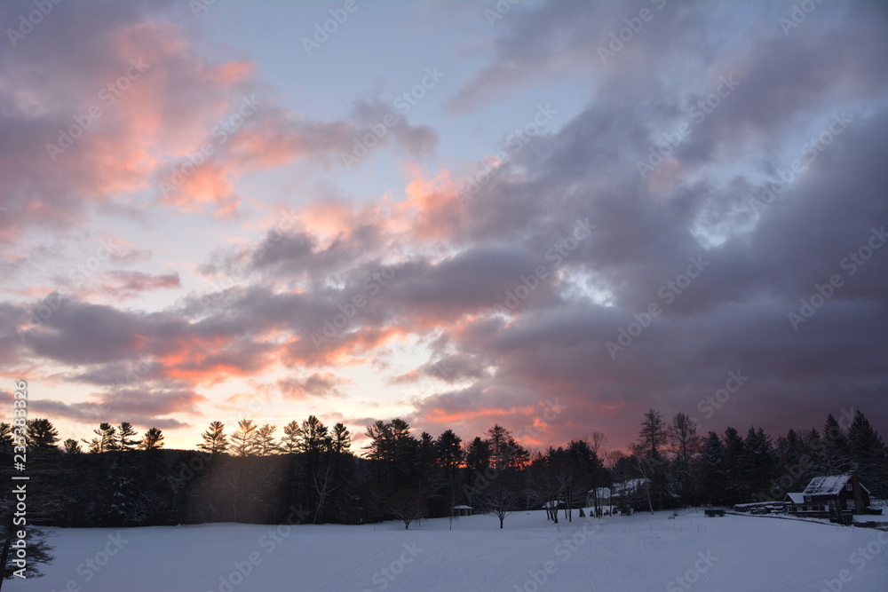 Snowy treetops at dawn