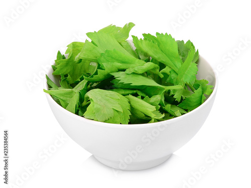 coriander leaves in the white bowl isolated on white background