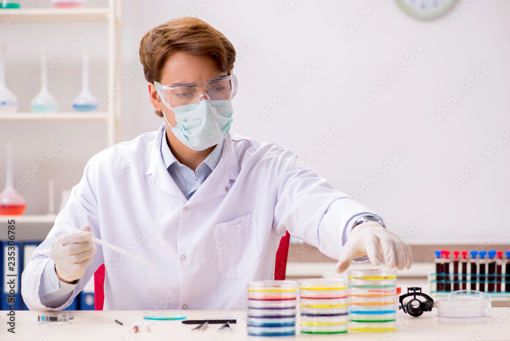 Young chemist working in the lab Young chemist working in the lab