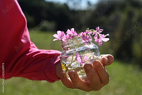 Menina segurando pequeno vidro contendo água e flores do campo em paisagem rural desfocada ao fundo photo