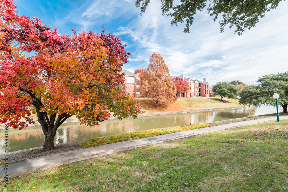Row of riverside apartment reflection with colorful fall foliage under cloud blue sky in suburban Dallas, Texas, USA. Bradford Pear and maple trees
