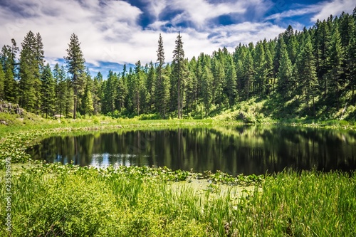 nature scenics around spokane river washington photo