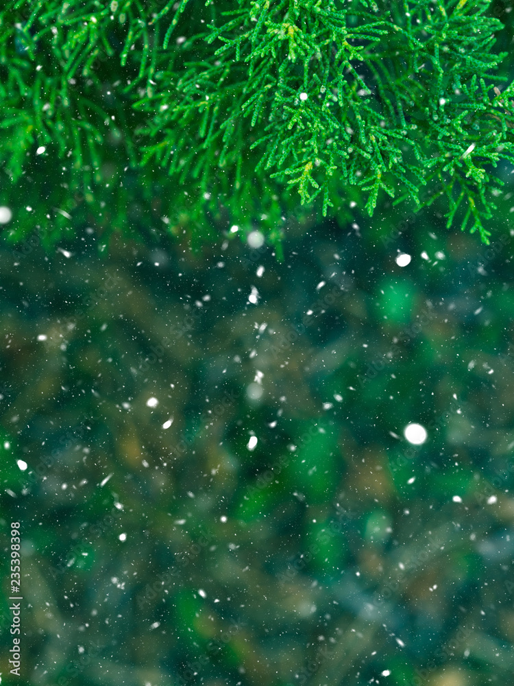 Green fir tree winter christmas background. Branches texture. Forest nature. Snow fall flakes Green fir tree winter christmas background. Branches texture. Forest nature. Snow fall flakes