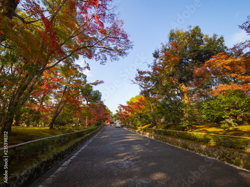 Fotografía Kinkakuji Temple,Beautiful pathway along with the goldren pavilion  and the red color leaf