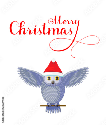 Christmas Greeting card with cute silver grey owl wear red hat on white background.