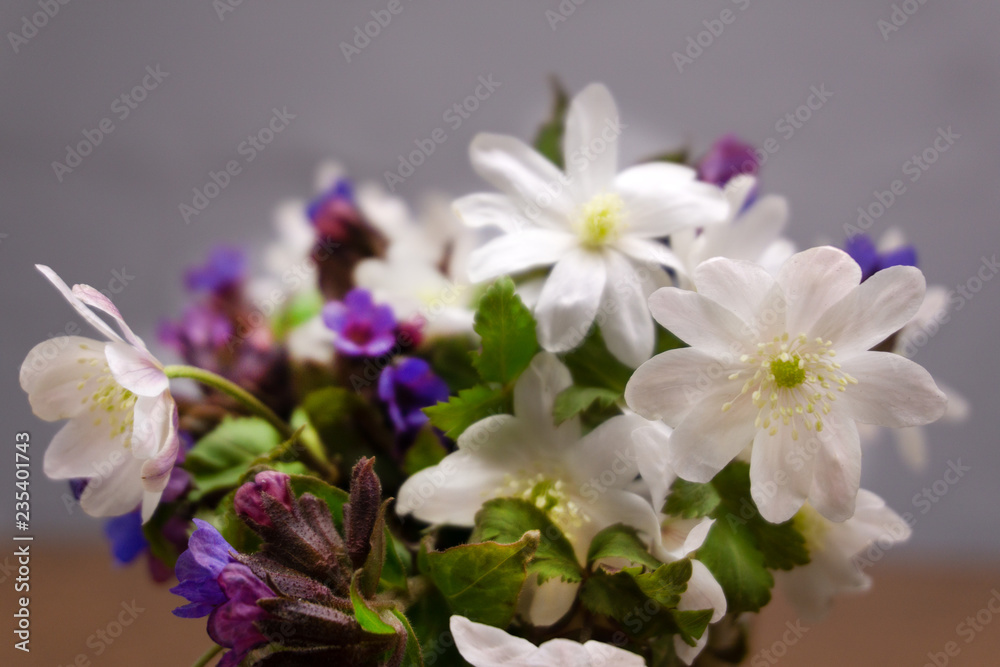 snowdrops in vase on old wood group herbal . snowdrops in vase on old wood group herbal .
