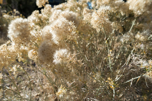 views at lake mead nevada near hoover dam