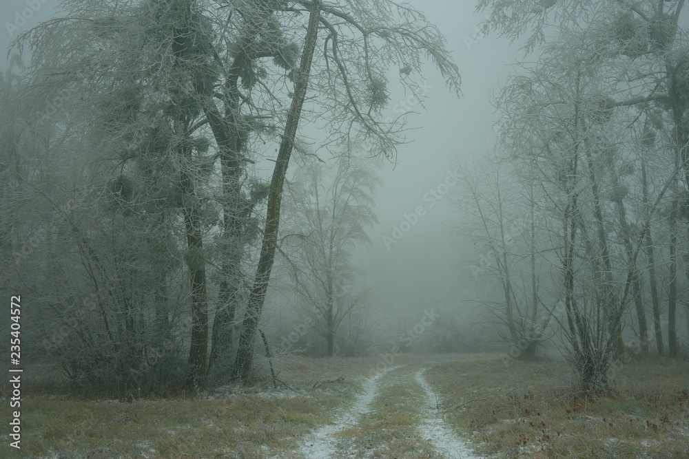 Obraz premium Dawn in fall