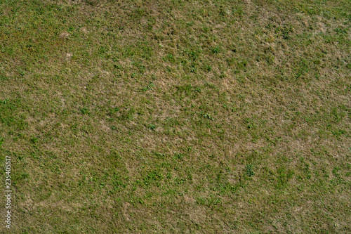 Texture of grass in the fall