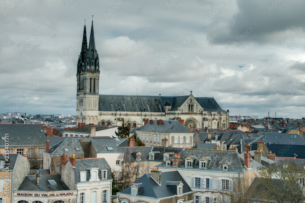 Les toits d'Angers