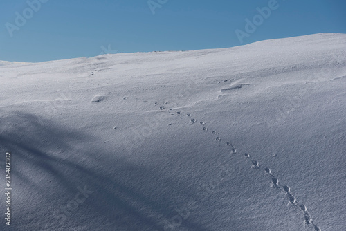 Spuren im Schnee