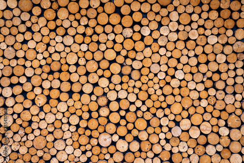 Round wooden stumps background Trees cut section for background texture.