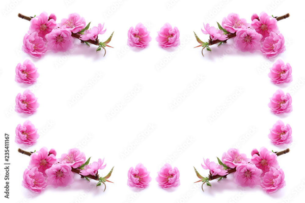 桃の花のフレーム（合成画像）