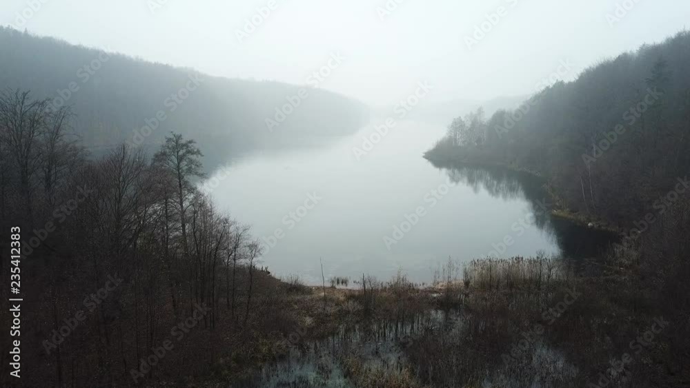 fog on the lake autumn autumn nature rushes sweet flag scrub