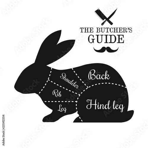 Rabbit meat cut lines diagram graphic poster, guide for butcher