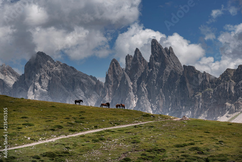 Raschötz - Höhenweg photo