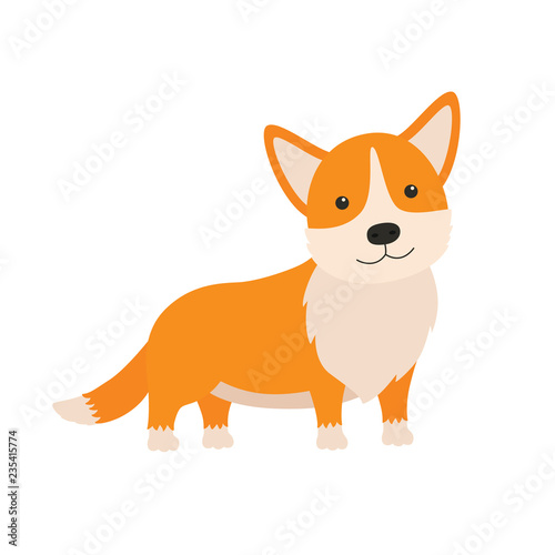 Cute dog breed welsh corgi. It can be used for sticker, patch, phone case, poster, t-shirt, mug and other design.