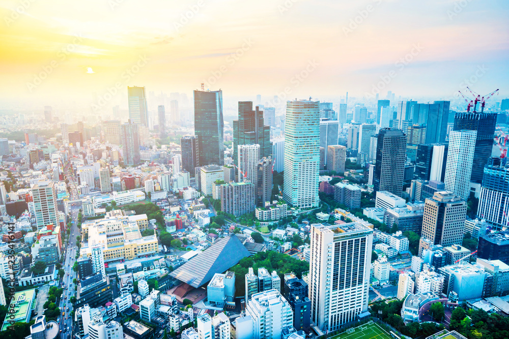 Fototapeta premium skyline aerial view in Tokyo, Japan