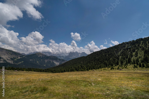 Fototapeta Naklejka Na Ścianę i Meble -  Raschötz - Höhenweg