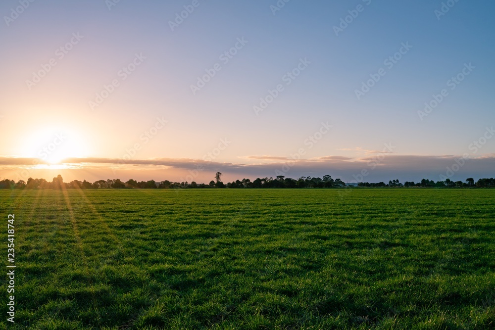 sunset and twilight sky cloud on the field of grass. Composition of nature.