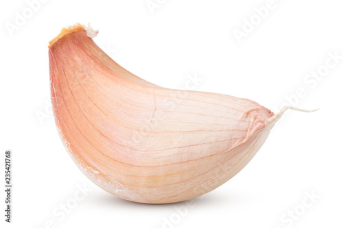 garlic, isolated on white background, clipping path, full depth of field