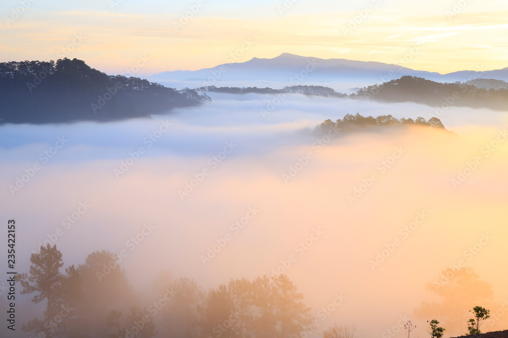 Amazing view of mountain, mist & cloud when dawn coming..