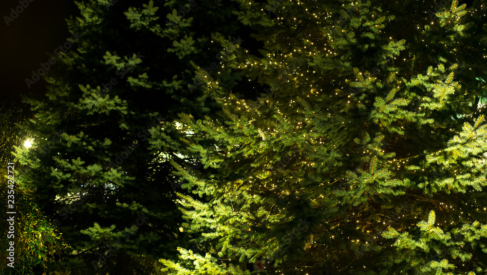 outdoor tree decorated with Christmas lights in night outdoor tree decorated with Christmas lights in night