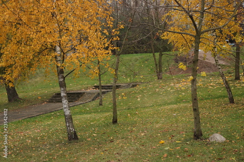 Beautiful autumn landscape  natural color.