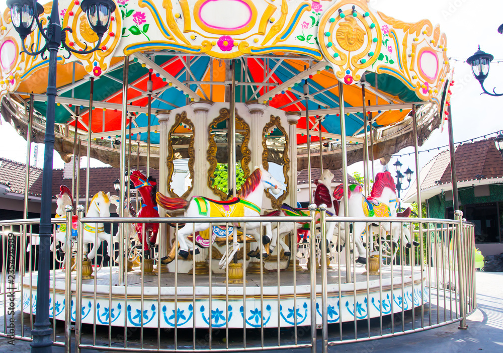  Carousel in the Park