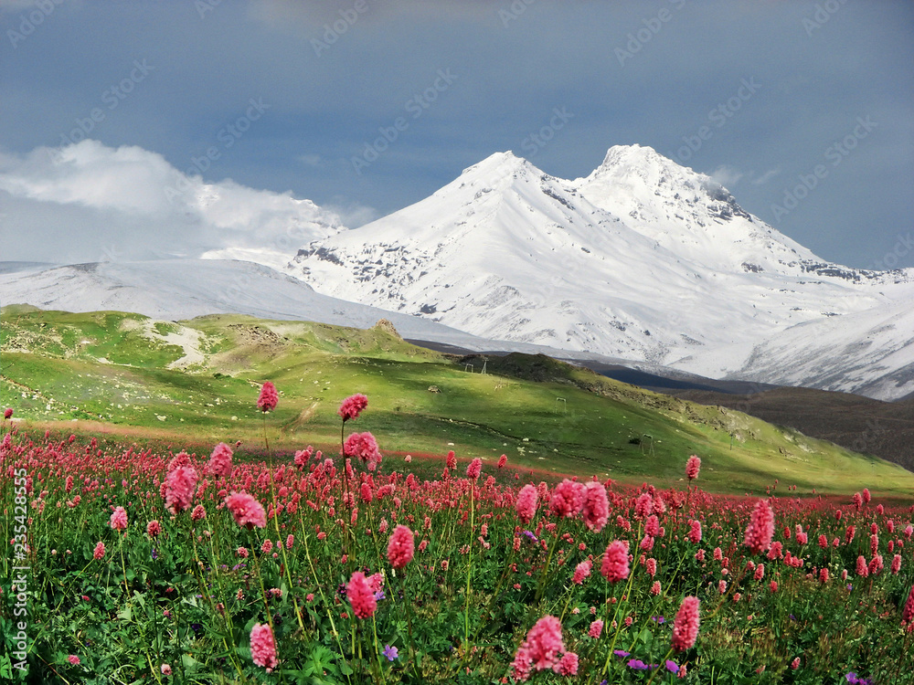 Mountains Of The Caucasus.