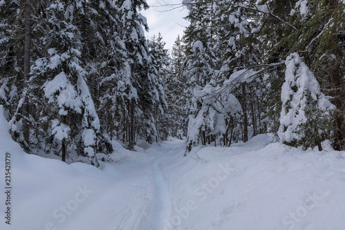 Vrata - Tal im Winter photo