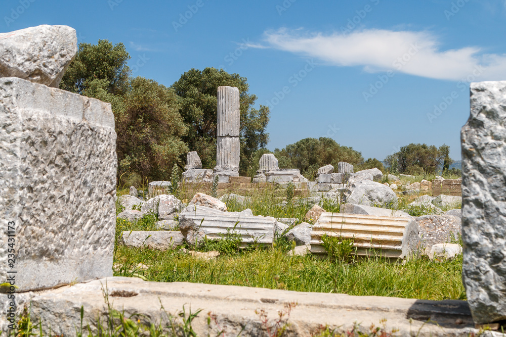 Ruins of the ancient town Teos, Turkey
