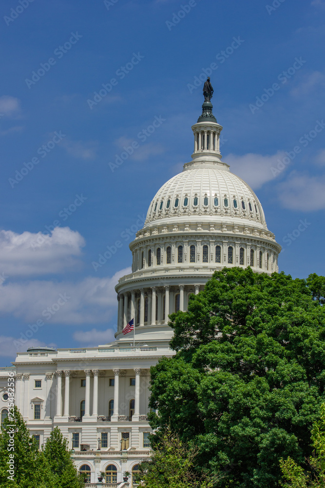Obraz premium Dome of the US Capitol taken from the garden in Washington DC, USA