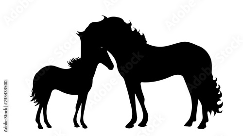 Vector silhouette of family of horse.