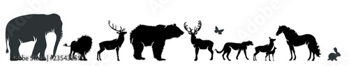 Vector silhouette of wild animal on white background.