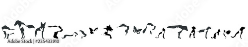 Vector silhouette of set of the animal on white background.