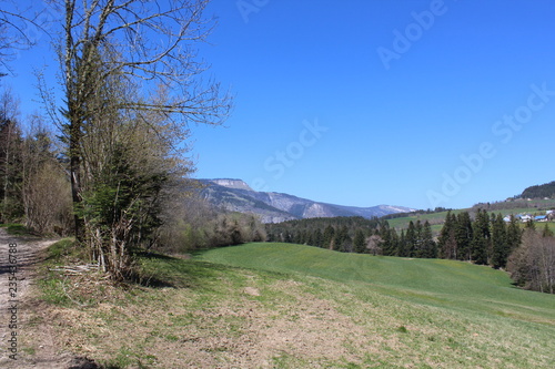 GORGES DU BRUYANT - LANS EN VERCORS - ISERE - FRANCE