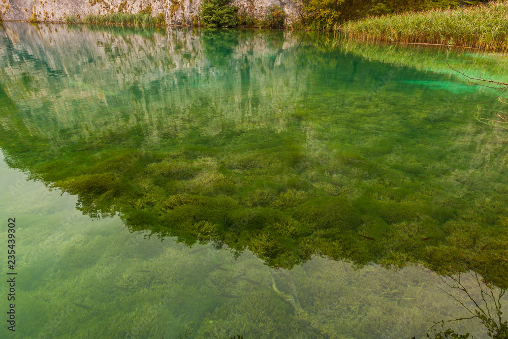 Plitvicer Seen und Wasserfälle Plitvicer Seen und Wasserfälle
